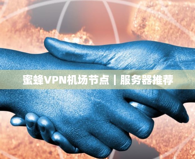 蜜蜂VPN机场节点｜服务器推荐