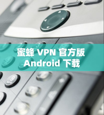 蜜蜂 VPN 官方版 Android 下载 蜜蜂 VPN 官方版 Android 下载