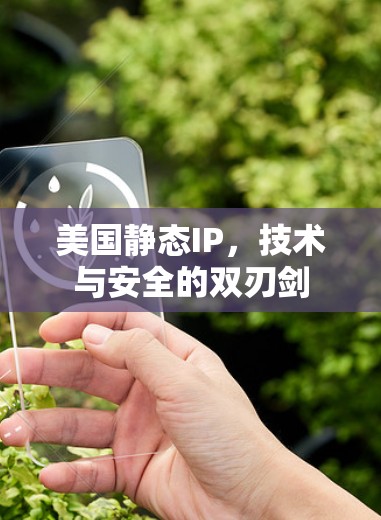 美国静态IP,技术与安全的双刃剑 美国静态IP,技术与安全的双刃剑