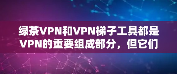绿茶VPN和VPN梯子工具都是VPN的重要组成部分,但它们在功能和使用方式上有所不同。以下是它们的对比分析 绿茶VPN和VPN梯子工具都是VPN的重要组成部分,但它们在功能和使用方式上有所不同。以下是它们的对比分析