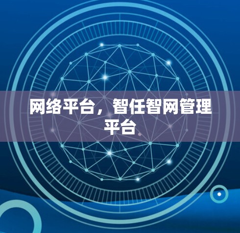 网络平台，智任智网管理平台