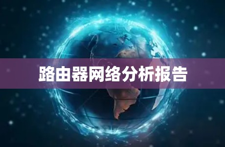 路由器网络分析报告 路由器网络分析报告