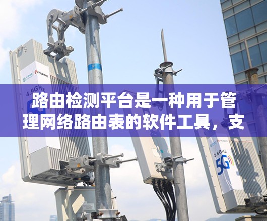路由检测平台是一种用于管理网络路由表的软件工具，支持过滤路由表、检测冲突和管理路由结构。以下是对路由检测平台的详细分析