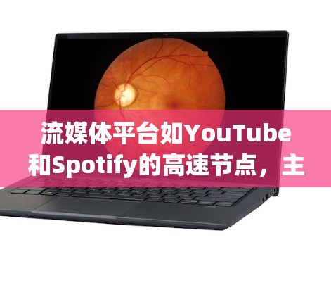 流媒体平台如YouTube和Spotify的高速节点,主要由服务器和网络系统组成,负责处理用户流媒体请求并提供流畅的体验。以下是对这些节点的详细分析 流媒体平台如YouTube和Spotify的高速节点,主要由服务器和网络系统组成,负责处理用户流媒体请求并提供流畅的体验。以下是对这些节点的详细分析