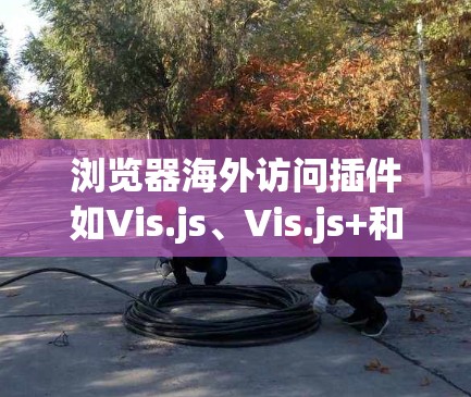 浏览器海外访问插件如Vis.js、Vis.js+和Vis.js-旨在通过JavaScript或脚本访问国外网站,提供数据收集、测试和分享访问的信息。以下是它们的主要特点、用途和使用方法