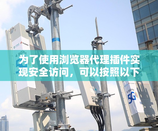 为了使用浏览器代理插件实现安全访问,可以按照以下步骤进行