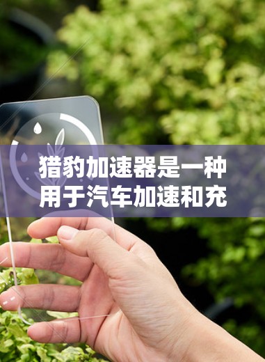 猎豹加速器是一种用于汽车加速和充电的电子装置,通常连接到汽车的充电线或车辆的某些部件。以下是对猎豹加速器连接速度和安全性的详细分析