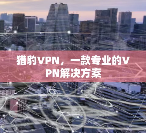 猎豹VPN，一款专业的VPN解决方案