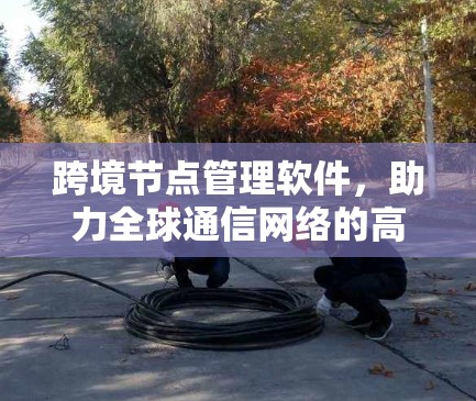 跨境节点管理软件，助力全球通信网络的高效运行