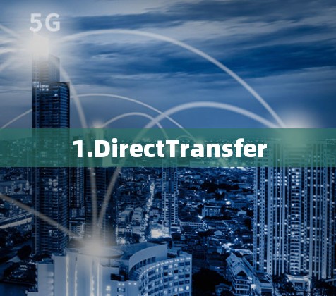 1.DirectTransfer