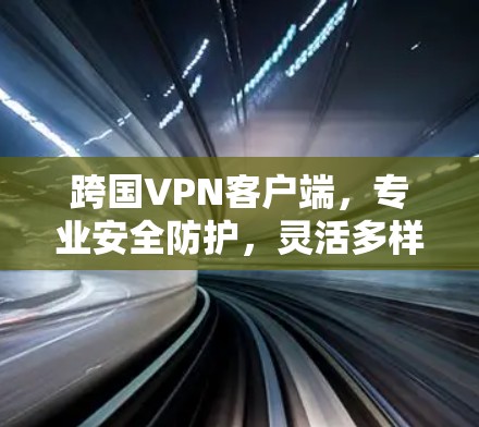 跨国VPN客户端，专业安全防护，灵活多样的解决方案