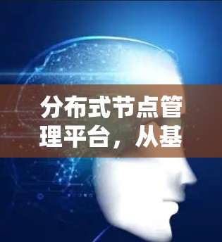 分布式节点管理平台，从基础到应用的创新实践