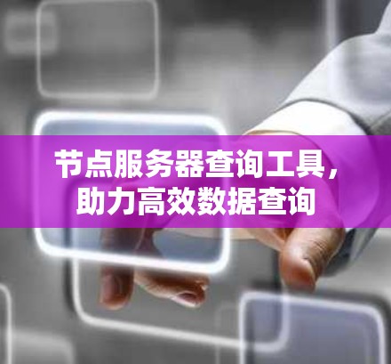 节点服务器查询工具，助力高效数据查询