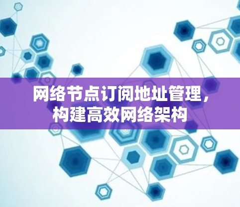 网络节点订阅地址管理，构建高效网络架构