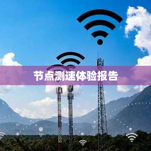 节点测速体验报告