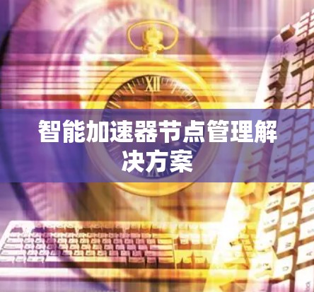 智能加速器节点管理解决方案 智能加速器节点管理解决方案