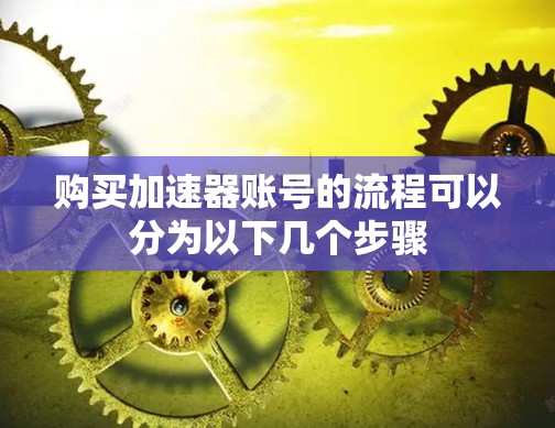 购买加速器账号的流程可以分为以下几个步骤 购买加速器账号的流程可以分为以下几个步骤