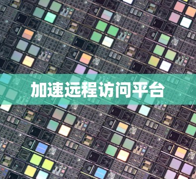 加速远程访问平台