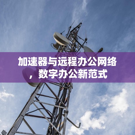 加速器与远程办公网络，数字办公新范式