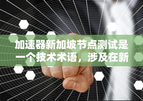 加速器新加坡节点测试是一个技术术语，涉及在新加坡节点上使用加速器进行测试。以下是对该概念的详细分析