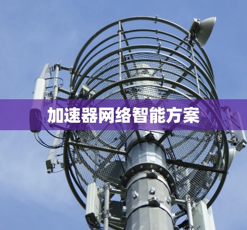 加速器网络智能方案