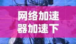 网络加速器加速下载,选择你! 网络加速器加速下载,选择你!
