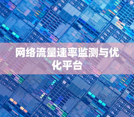 网络流量速率监测与优化平台