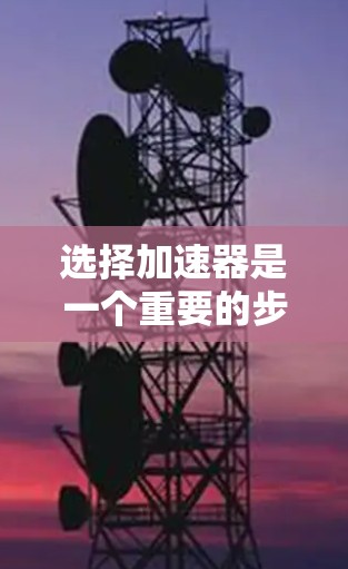 选择加速器是一个重要的步骤，因为它直接影响你的网络速度和用户体验。以下是一些在加速器选择时需要考虑的因素