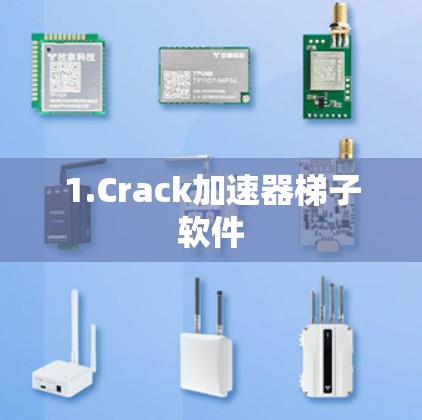 1.Crack加速器梯子软件