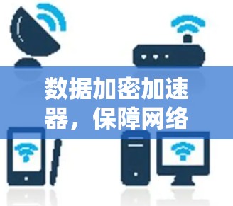 数据加密加速器，保障网络安全的高效解决方案