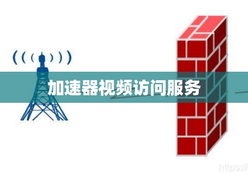 加速器视频访问服务