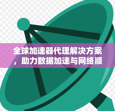 全球加速器代理解决方案,助力数据加速与网络顺畅