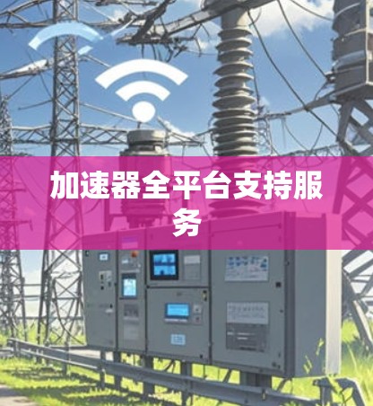 加速器全平台支持服务