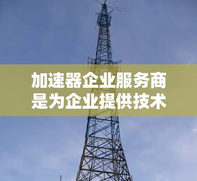 加速器企业服务商是为企业提供技术支持和工具加速的平台，旨在帮助企业提高效率和竞争力。以下是对加速器企业服务商的详细分析