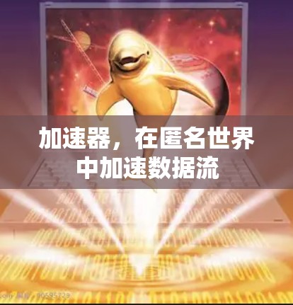 加速器，在匿名世界中加速数据流