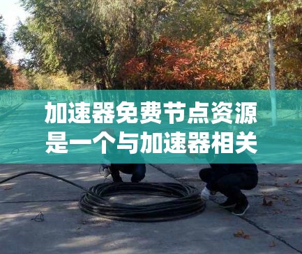 加速器免费节点资源是一个与加速器相关的概念,具体指在特定系统中提供免费的内存扩展、存储扩展或同时处理多个文件的资源。以下是对该概念的详细分析