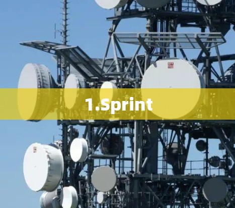 1.Sprint