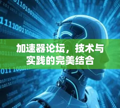 加速器论坛,技术与实践的完美结合