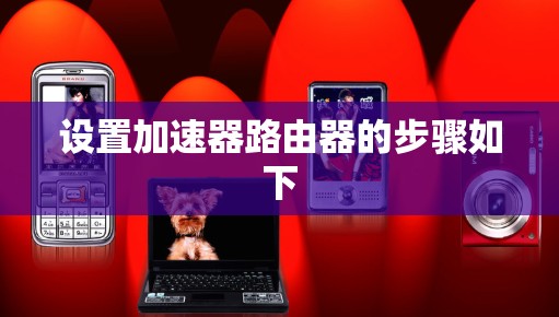 设置加速器路由器的步骤如下