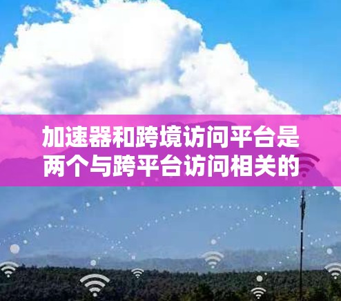 加速器和跨境访问平台是两个与跨平台访问相关的概念，但它们在功能和用途上有细微的不同。以下是对这两个概念的详细分析