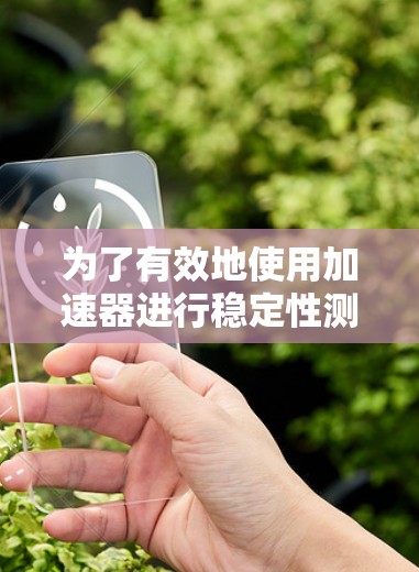 为了有效地使用加速器进行稳定性测试，您可以按照以下步骤操作