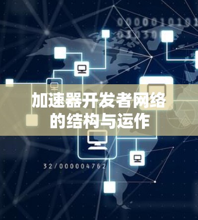 加速器开发者网络的结构与运作