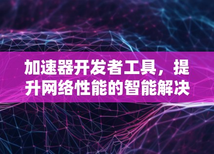 加速器开发者工具，提升网络性能的智能解决方案