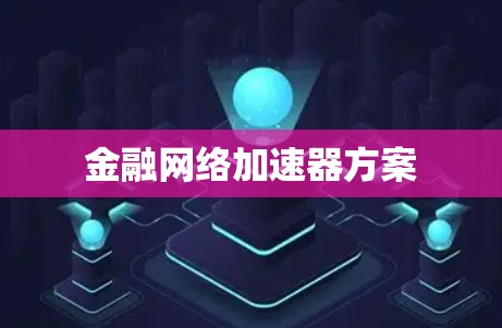 金融网络加速器方案