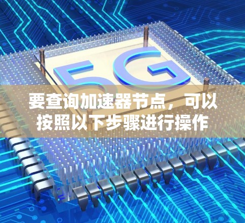 要查询加速器节点，可以按照以下步骤进行操作