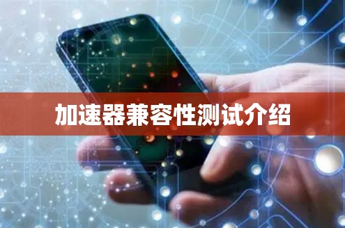 加速器兼容性测试介绍