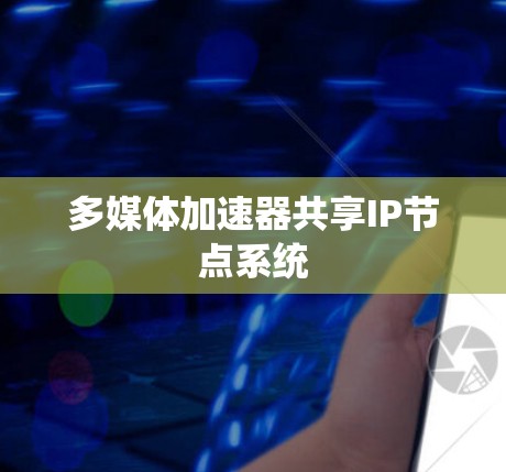 多媒体加速器共享IP节点系统